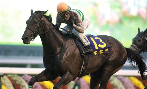 2002年 馬|生年[2002]の競走馬検索結果｜競馬データベー